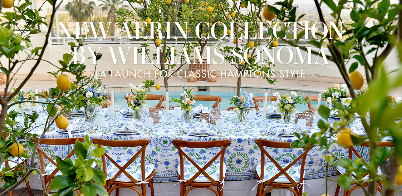 New AERIN Collection by Williams Sonoma
