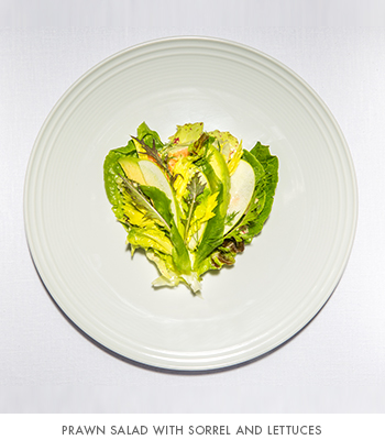EMP Summer House's prawn salad with sorrel and lettuces